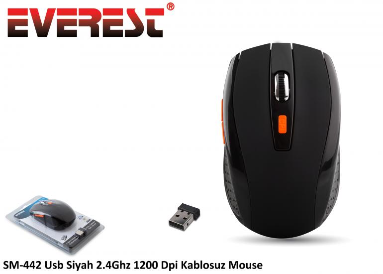 Everest SM-442 Siyah Kablosuz Mouse